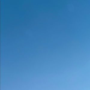 Meet your Posher, Gina